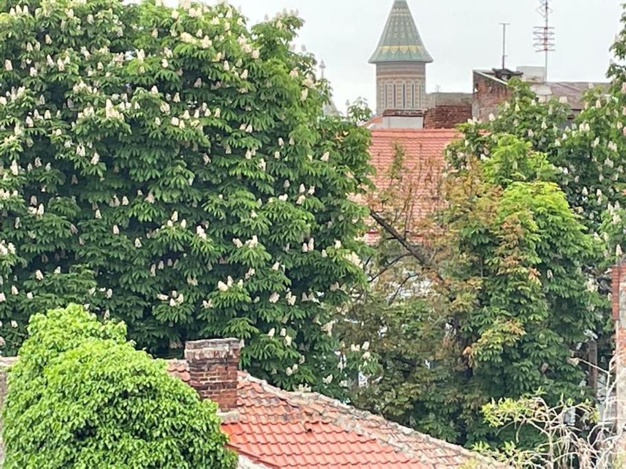 Central, Big Terrace, Near River Temesvár Kültér fotó