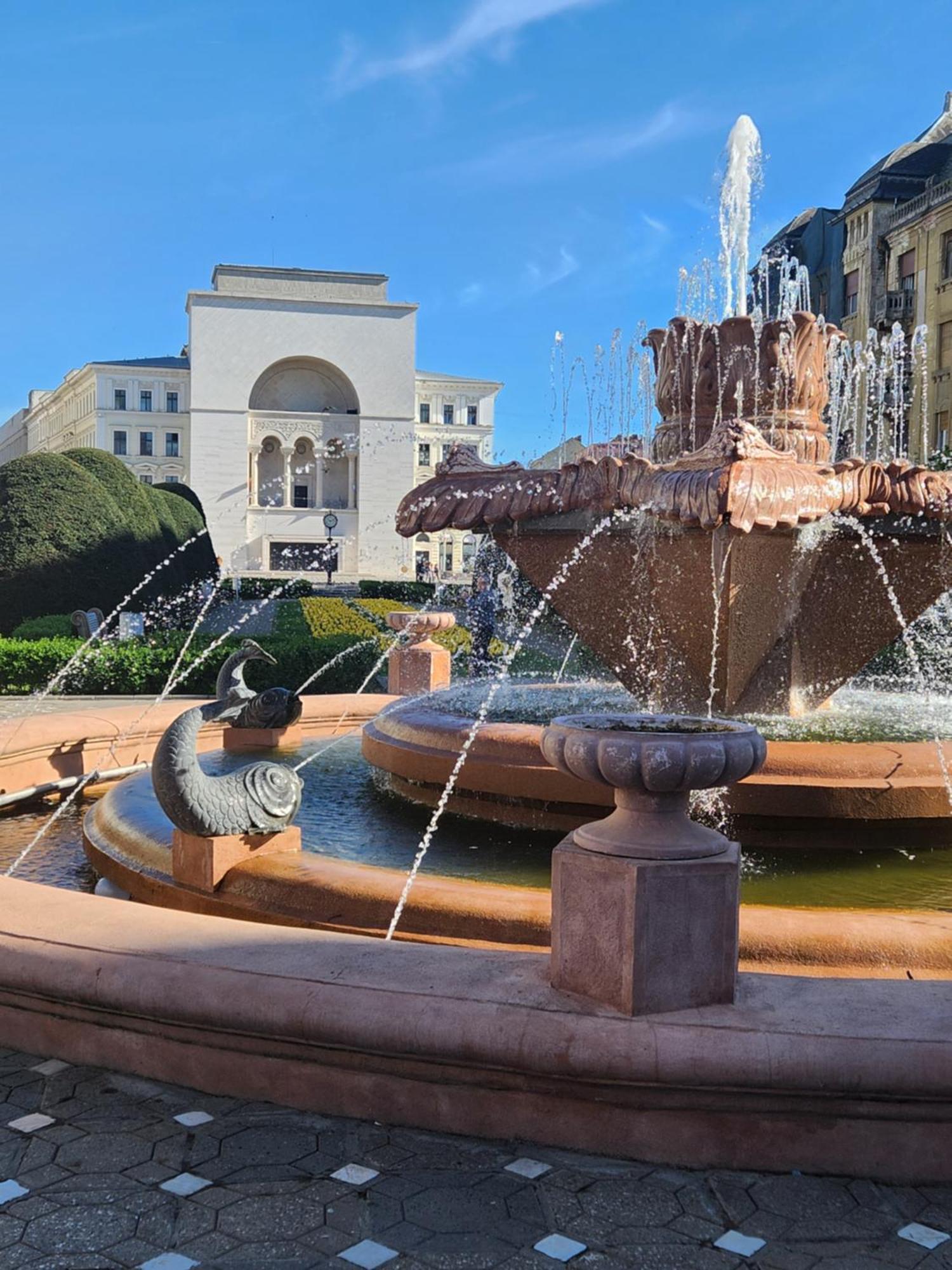 Central, Big Terrace, Near River Temesvár Kültér fotó